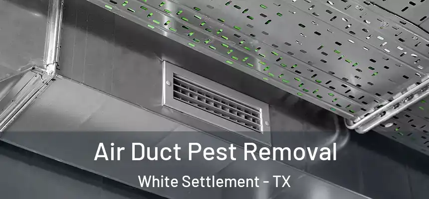 Air Duct Pest Removal White Settlement - TX