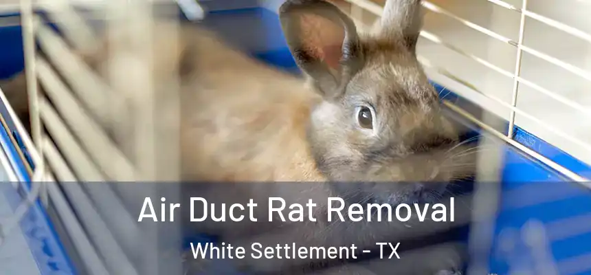 Air Duct Rat Removal White Settlement - TX