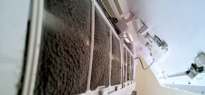 Preventive Air Duct Bacteria Removal in White Settlement