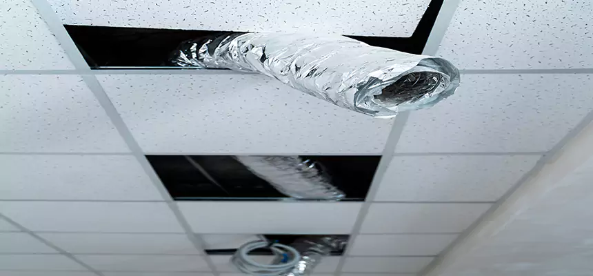 Our Air Duct Pet Hair Removal Services in White Settlement, TX