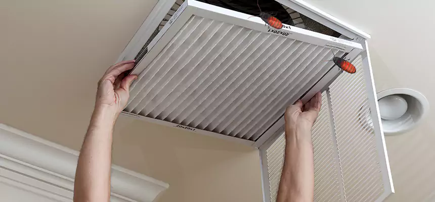 Our Insect Removal from Air Ducts Services in White Settlement, TX