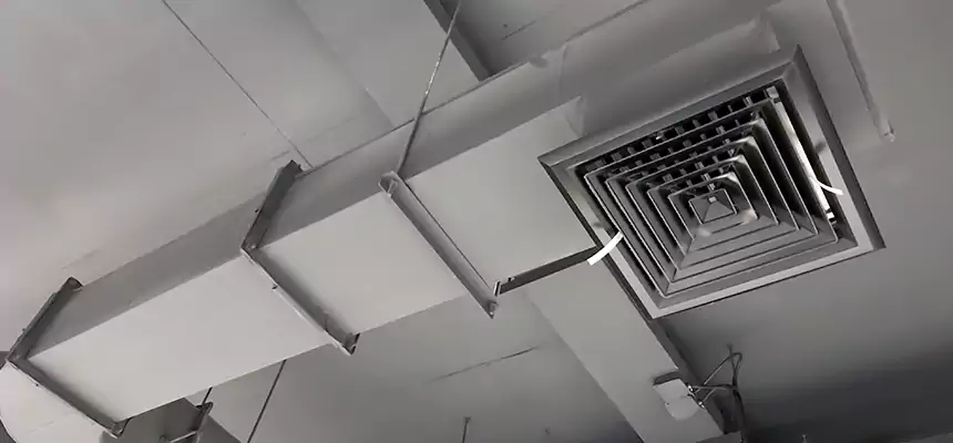 Our Pest Removal From Ducts Services in White Settlement, TX