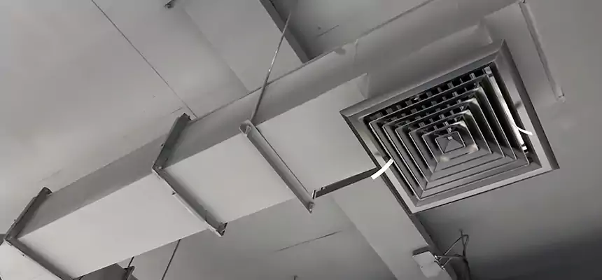 Our Rodent Droppings In Vents Services in White Settlement, TX