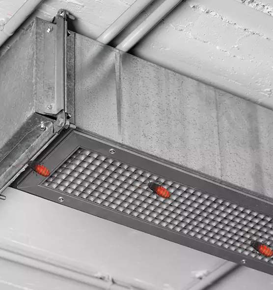 About Air Duct Cockroach Removal in White Settlement, TX