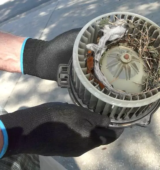 About Air Duct Mice Removal in White Settlement, TX