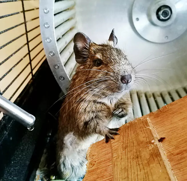 Why Homeowners & Businesses Trust Us White Settlement, TX