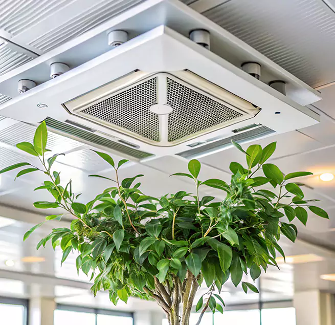 Why Homeowners & Businesses Trust Us in White Settlement, TX?